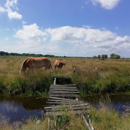 Dom Goscinny Ptaszarnia - Natura-Free Parking Свиноуйсьце Экстерьер фото