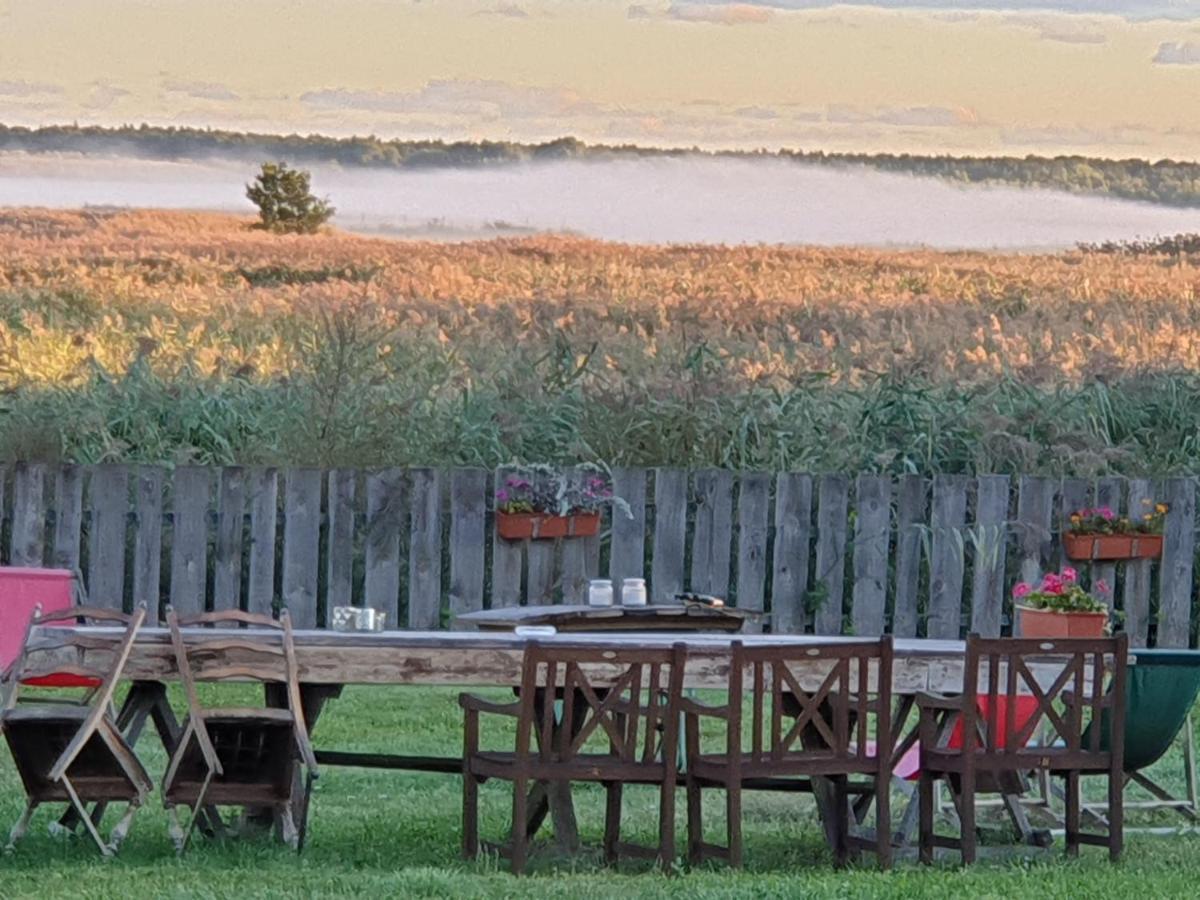 Dom Goscinny Ptaszarnia - Natura-Free Parking Свиноуйсьце Экстерьер фото