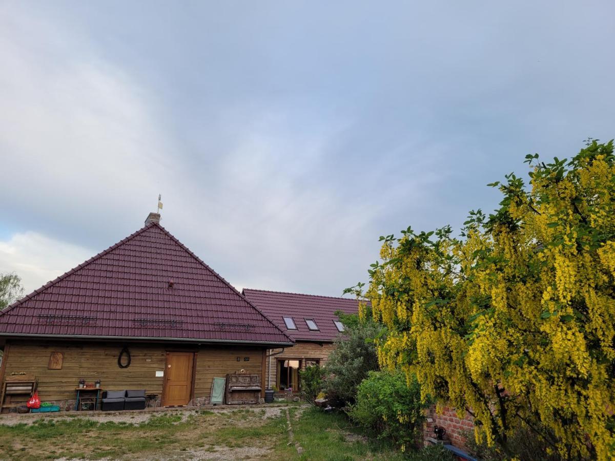 Dom Goscinny Ptaszarnia - Natura-Free Parking Свиноуйсьце Экстерьер фото