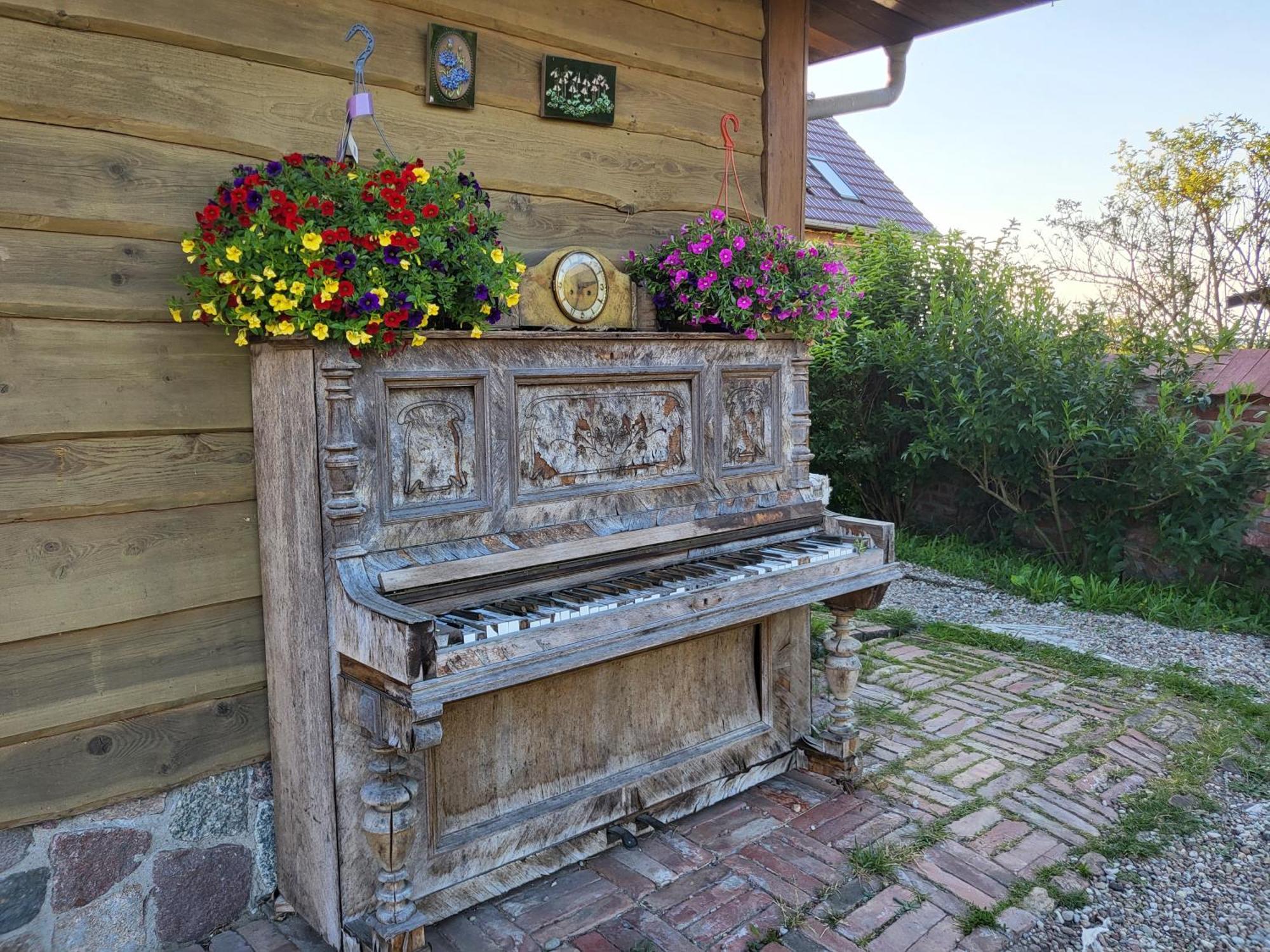 Dom Goscinny Ptaszarnia - Natura-Free Parking Свиноуйсьце Экстерьер фото