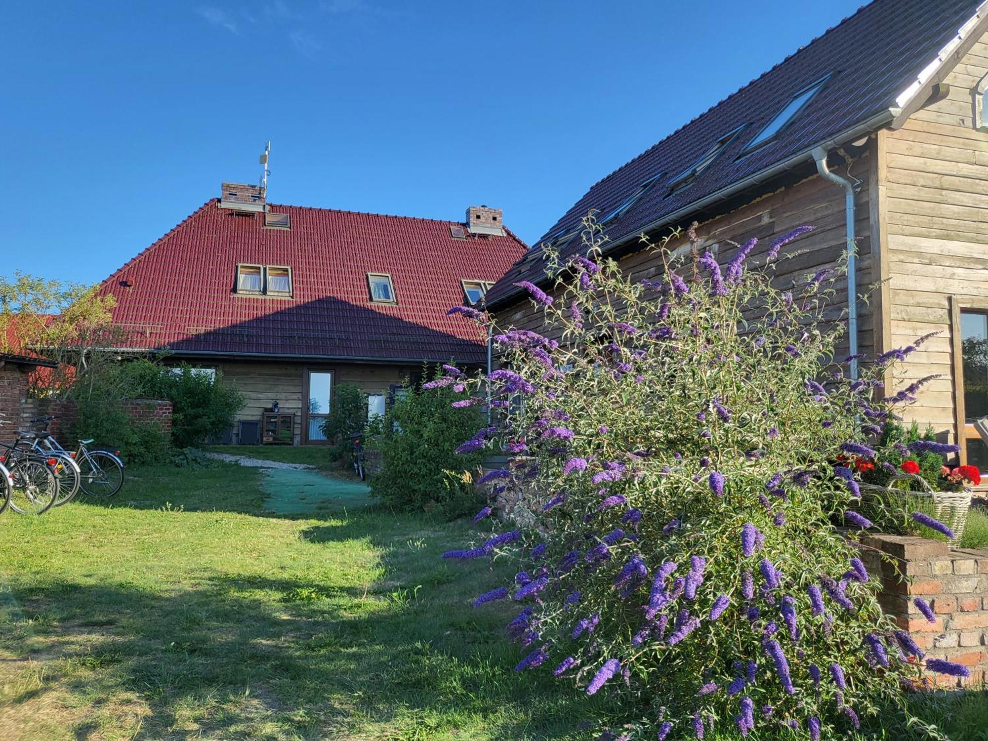 Dom Goscinny Ptaszarnia - Natura-Free Parking Свиноуйсьце Экстерьер фото