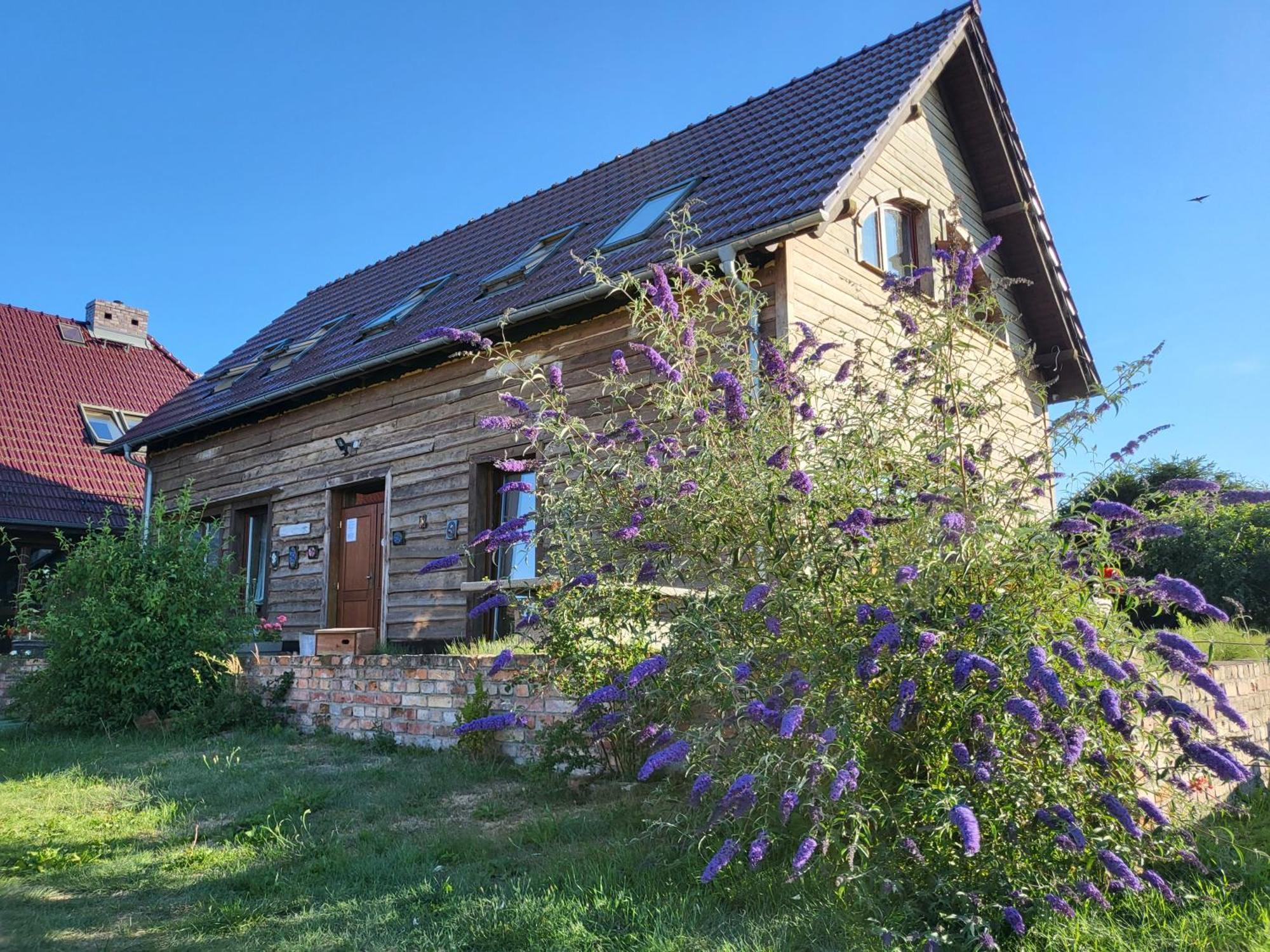 Dom Goscinny Ptaszarnia - Natura-Free Parking Свиноуйсьце Экстерьер фото